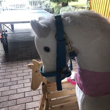 pferde halfter gebraucht kaufen pferde halfter gebraucht kaufen  Weißbach