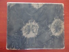 Antique photograph album for sale  HORLEY