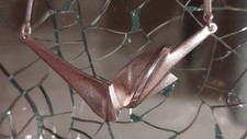 Lapponia collier kette gebraucht kaufen  Düsseldorf