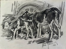 Aldo raimondi usato Aldo raimondi usato  Nettuno