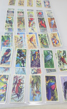 Tropical birds brooke for sale  SALISBURY