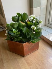 Vintage copper hexagonal for sale  DARLINGTON