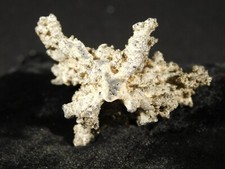 Larger unique fulgurite for sale  Salt Lake City