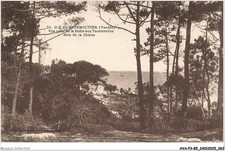 Avap3 0220 island d'occasion  Expédié en Belgium