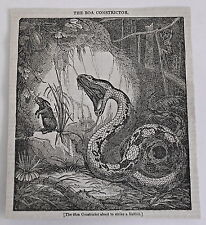 1832 magazine engraving for sale  Wilmington