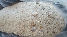 Strand sand argeles gebraucht kaufen  Detmold