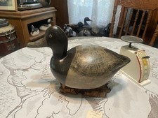 Drake bluebill att for sale  Petaluma