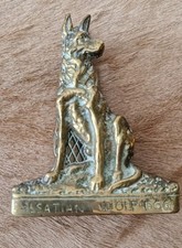 Alsation wolf dog for sale  STOKE-ON-TRENT