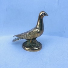 Racing pigeon dove for sale  LITTLEHAMPTON