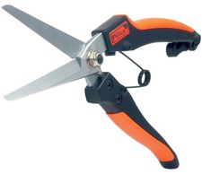 Garten primus stauden gebraucht kaufen  Mantel