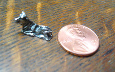 Miniature cow cattle for sale  San Francisco