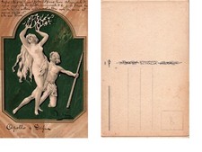 Cartolina f.p apollo usato  Castione Andevenno