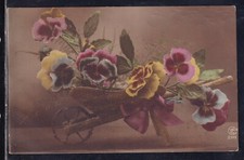 Cartolina cariola con usato  Italia