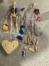 Human body assembly for sale  Eden