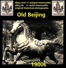 China peking peking gebraucht kaufen  Pforzheim