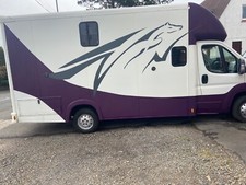 3.5 tonne horse for sale  DUMFRIES