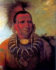 art prints 100 indian for sale  Cambria