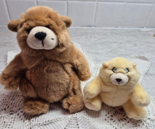 Teddy bear plush for sale  Franconia