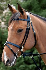 Dyon trense training gebraucht kaufen Dyon trense training gebraucht kaufen  Steinfeld