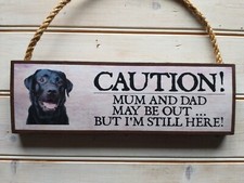 Labrador sign labrador for sale  WISBECH
