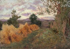 David waterson oil for sale  UK