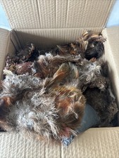 Large box quail for sale  Mattoon