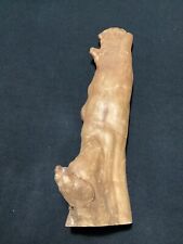 Cypress knee tall for sale  Springfield