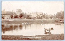 Num monkton duck for sale  MANSFIELD