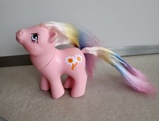 Kleines pony baby gebraucht kaufen  Sonthofen