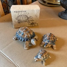 Wade tortoise family for sale  BRACKNELL
