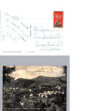 Cartolina panorama cerisola usato  Castione Andevenno