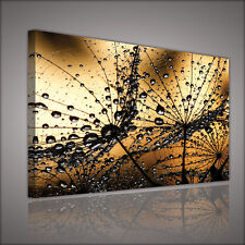 Canvas wandbild leinwandbild gebraucht kaufen  Berlin