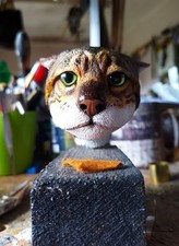 Large bengal cat for sale  UK