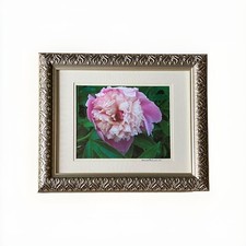 Framed art pink for sale  Gainesville