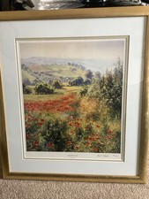 Rex preston summer for sale  MANSFIELD