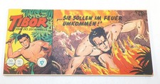 Lehning piccolo comic gebraucht kaufen  Deutschland