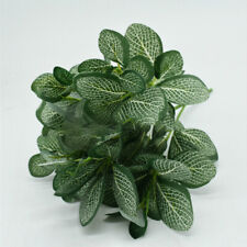 Artificial plantss green for sale  UK