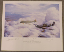 Raf ww2 spitfire for sale  WHITLAND