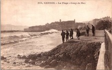 canne coup d'occasion canne coup d'occasion Expédié en Belgium