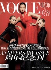 Vogue china magazine usato  Roma