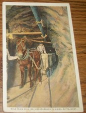 1930 mule train for sale  Comanche