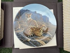 Great cats americas for sale  SITTINGBOURNE