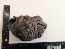 redwood burl for sale redwood burl for sale Eureka