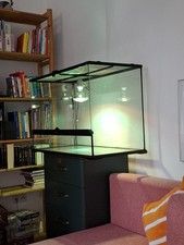 Exo terra terrarium gebraucht kaufen  Hannover