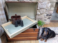 Vintage dome top for sale  NEWTON ABBOT