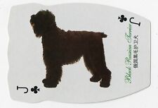 black russian terrier for sale black russian terrier for sale COLEFORD