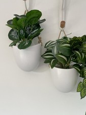 Modern hanging plant for sale  SOUTH CROYDON
