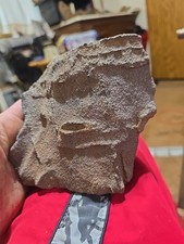 Meteorite chondrite weight for sale  Opp