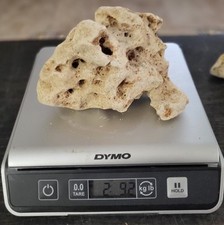 Texas limestone holey for sale  Texarkana