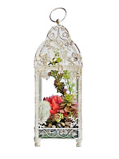 Glass lantern terrarium for sale  Milford